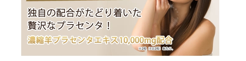 �G���b�N�X�I�[���v���~�A���r�v���Z���^�J�v�Z��
���T�C�g